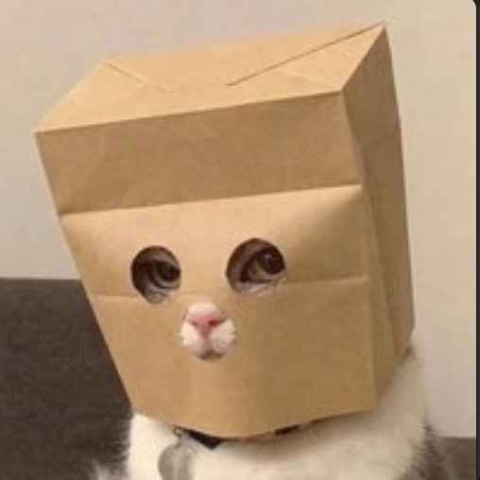 ZCAT